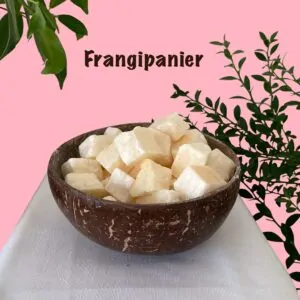 Parfums solides Frangipanier