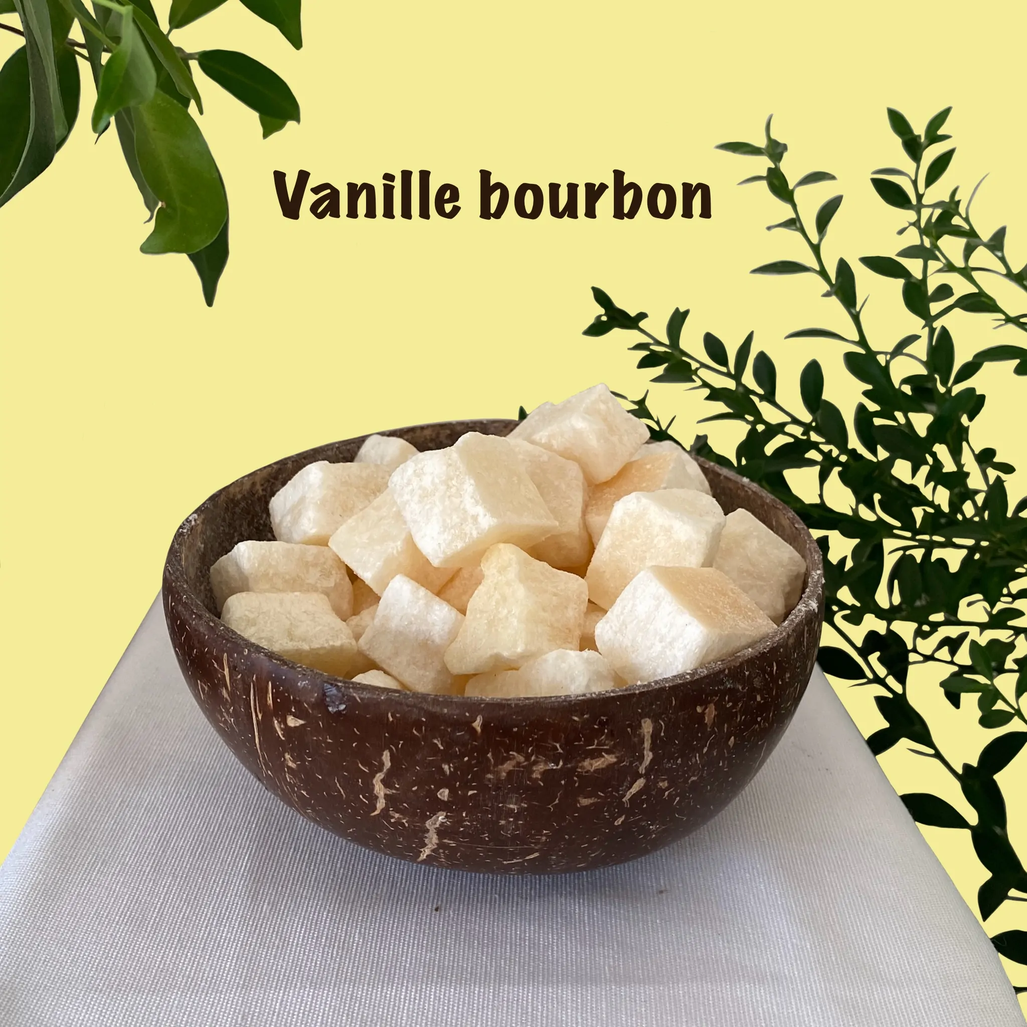 Parfums solides vanille bourbon