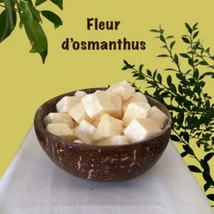 Parfums solides de fleur d’osmanthus