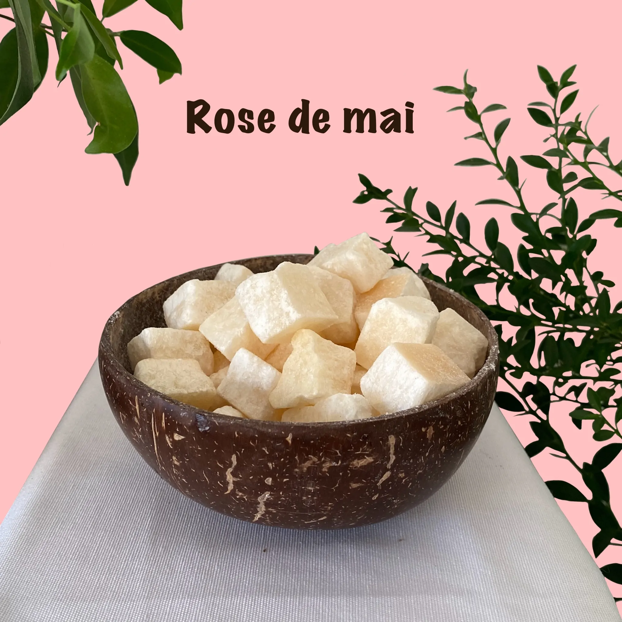 Parfums solides rose de mai