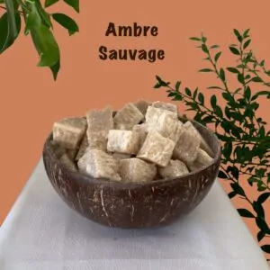 Parfums solides d’ambre sauvage