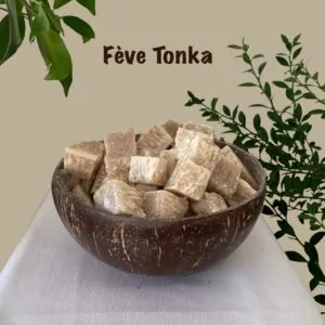 Parfums solides de fève tonka
