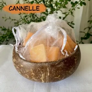 Carrés de cire parfumée à la Cannelle